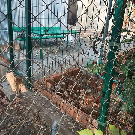 Piligrim Apartament Tiflis Dış mekan fotoğraf