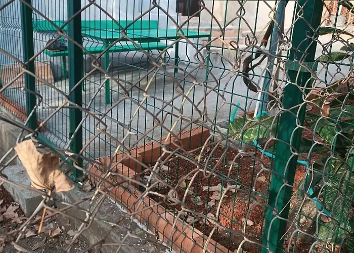 Piligrim Apartament Tbilisi